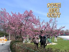 -大宁公园
