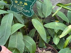 -呀诺达热带雨林
