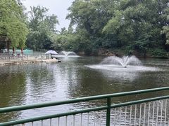 -秦皇岛野生动物园