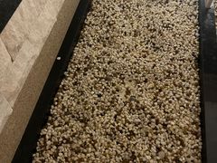 -汤里来温泉