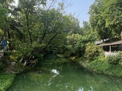 -红梅公园