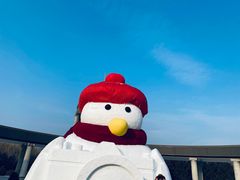 -长春公园(普阳街道)