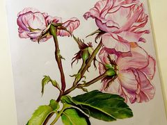 -八哥美术·成人美术画室(总校区)