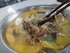 -一代菌王·竹荪鹅(江苏旗舰店)