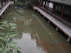 -龙潭水乡