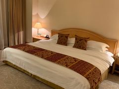 -南京维景国际大酒店(南京博物院店)