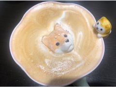 -逗柴咖啡屋·狗咖猫咖宠物桌游