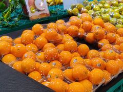 -叶氏兄弟(大连奥特莱斯店)
