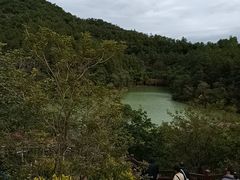 -广州白江湖森林公园