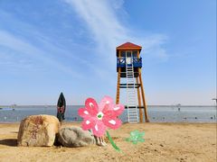 -碧海金沙
