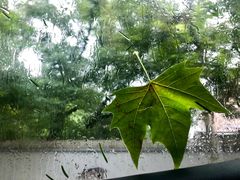 -西西弗书店&矢量咖啡(凯德晶萃广场店)