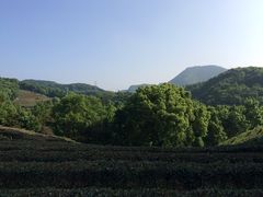 iphone_upload_pic-西湖风景区十里琅珰-五云山