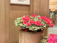 -杭州城中香格里拉大酒店