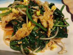 菠菜豆芽拌面筋-新疆红柳花餐厅(新洲店)