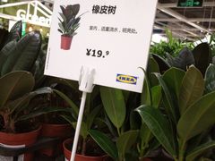 -IKEA宜家家居(南京商场)