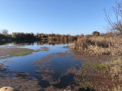 -呈贡滇池生态湿地公园