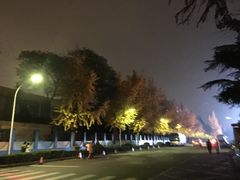 -四川大学(望江校区)
