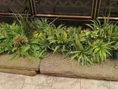 -小天厨民间菜馆(深圳街店)