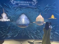 -烟台海昌鲸鲨海洋公园