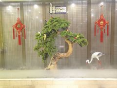 -红菜坊·烤鸭·川鲁宴(石园店)
