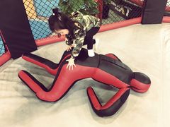 -天行健身＆天行拳馆跆拳道·格斗TXGYM