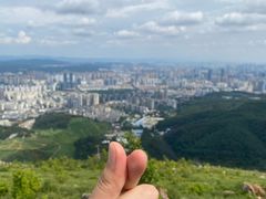-长虫山生态公园风景林