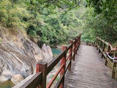 -广州白江湖森林公园