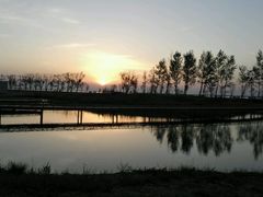 android_upload_pic-卧龙湖