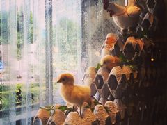 奇乐奇乐(梅江店)-奇乐奇乐(梅江店)