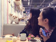 -小时光咖啡馆(开森度假森林店)