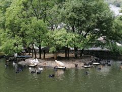 -黔灵山公园
