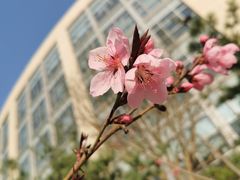 -中关村生命科学园