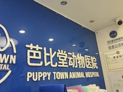 -芭比堂动物医院·心脏科·老年急重症·夜诊·吉雅分院