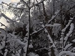 -秦岭风景区