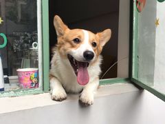 -NEA BAY咖啡馆