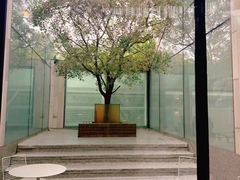 -WeWork中国(三里屯11号社区店)