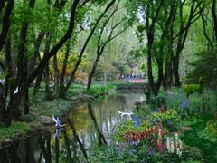 -上海共青森林公园