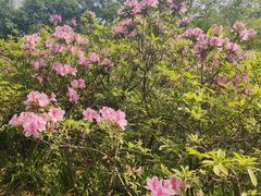 -中山大学广州校区南校园怀士堂