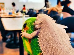 -FAIRYLAND龙族星球主题餐厅(凯丹广场店)