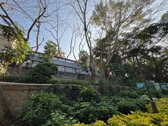 -牡丹国际大酒店-港式茶餐厅