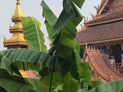 -西双版纳总佛寺