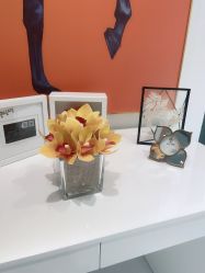 -MIVI野生眉纹绣纹眉