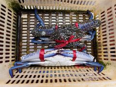 -双月饭店·20年老字号(新村店)