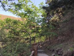 -山叶口景区