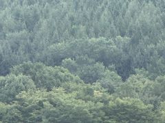 -香炉山国家森林公园