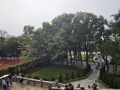 -鱼珠码头(轮渡站)
