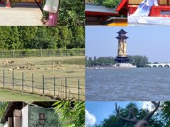 -溱湖国家湿地公园