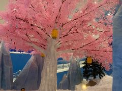 -湘江欢乐城欢乐雪域