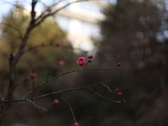 -西安曲江寒窑遗址公园