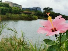 -福田红树林生态公园